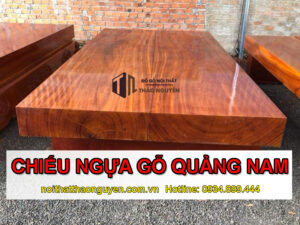 chieu-ngua-go-quang-nam